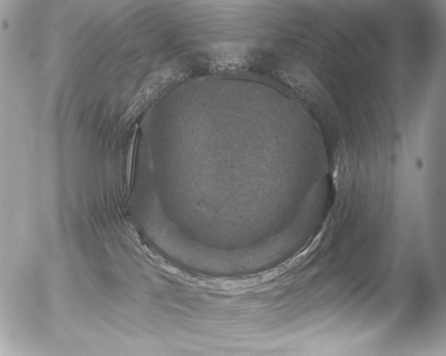 X0000056330041200508261232