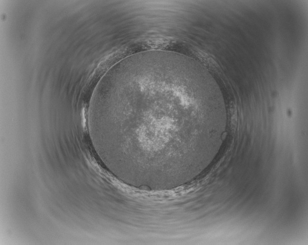 X0000056330042200508261232