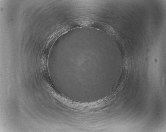 X0000056330043200508261232