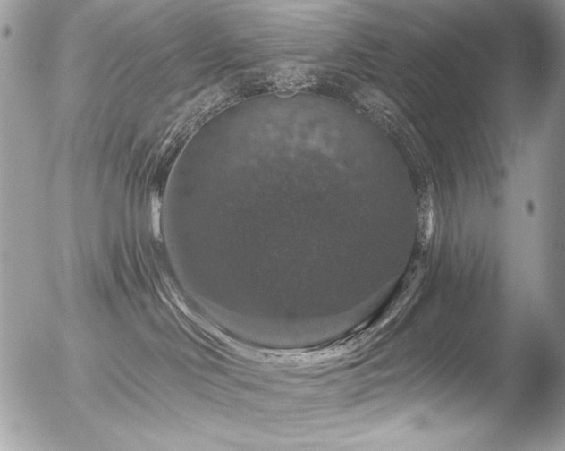 X0000056330046200508261232