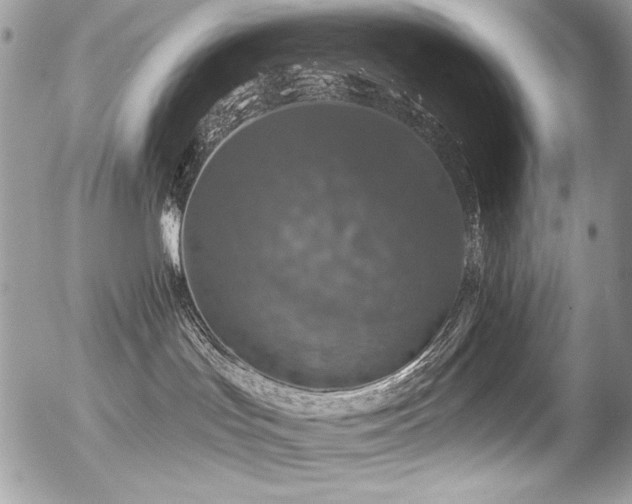 X0000056330047200508261232