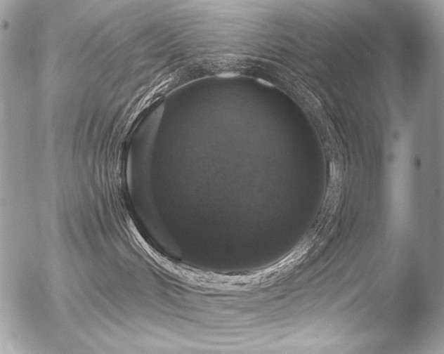 X0000056330048200508261232