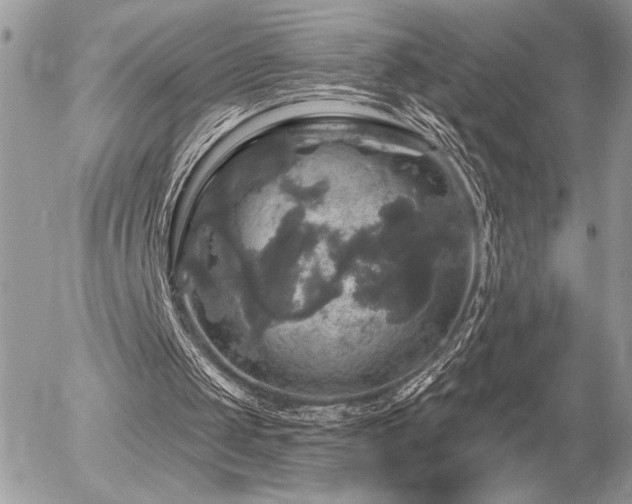 X0000056330049200508261231