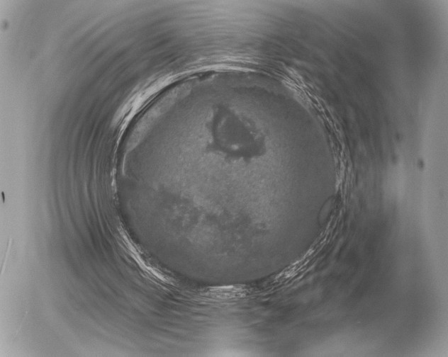 X0000056330050200508261231