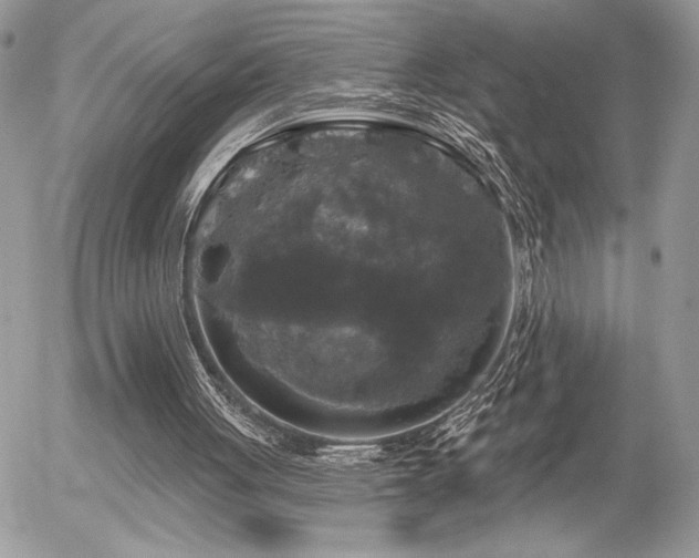 X0000056330051200508261231