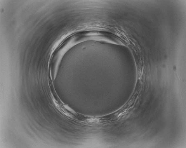 X0000056330052200508261231