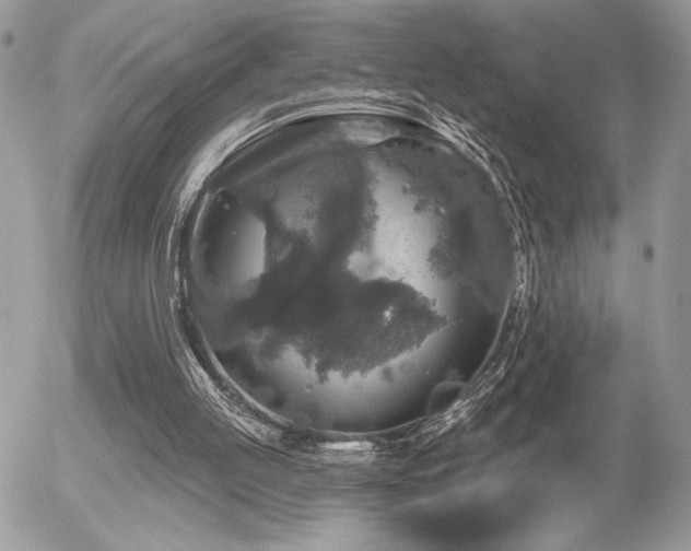 X0000056330053200508261231