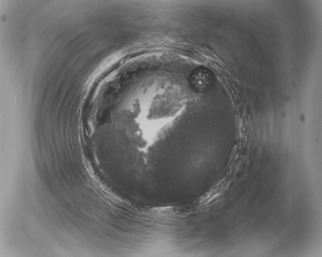 X0000056330054200508261231