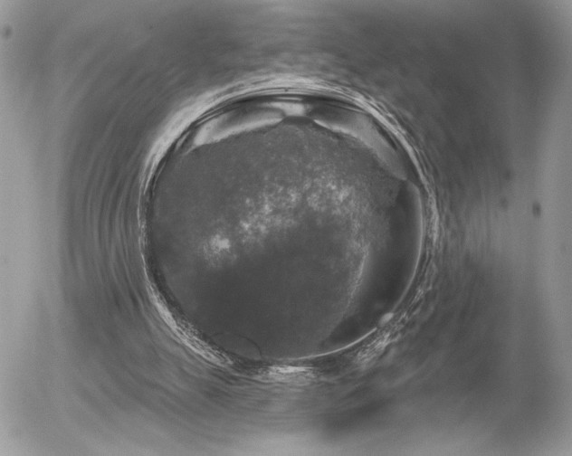 X0000056330055200508261231