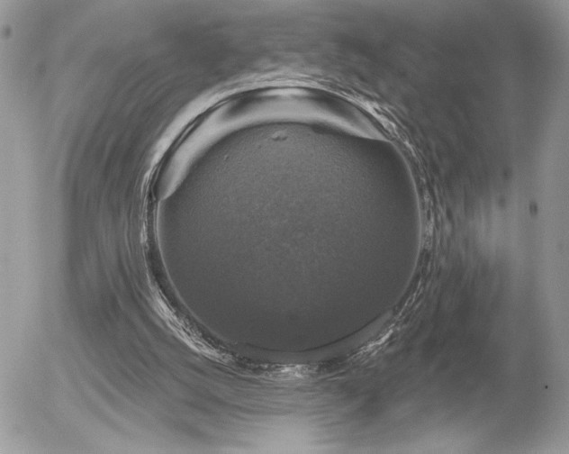 X0000056330056200508261231