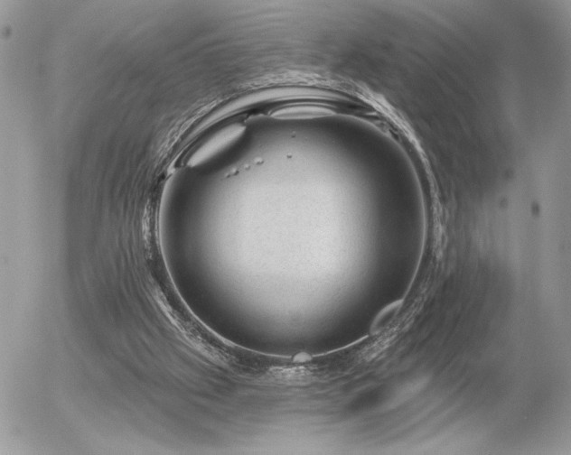 X0000056330057200508261231