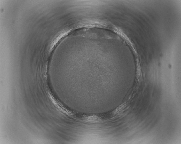 X0000056330058200508261231