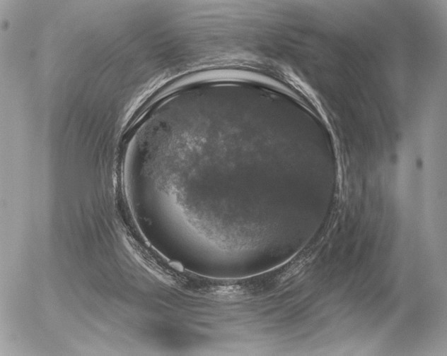 X0000056330059200508261231