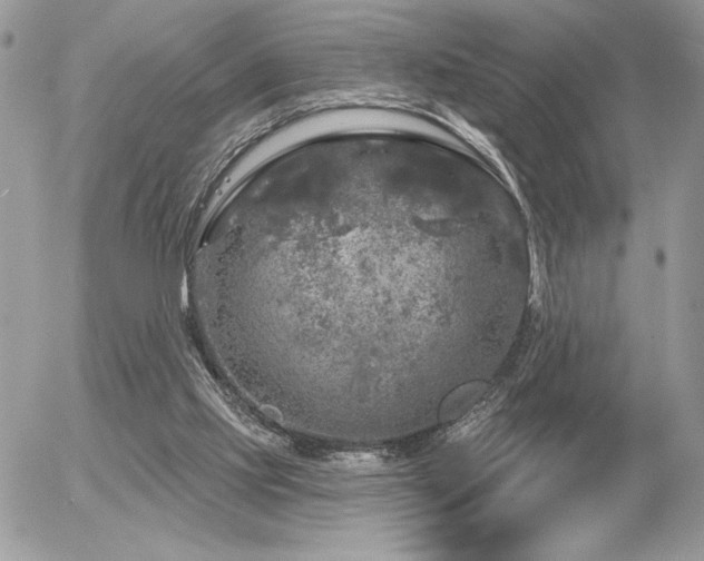 X0000056330061200508261231