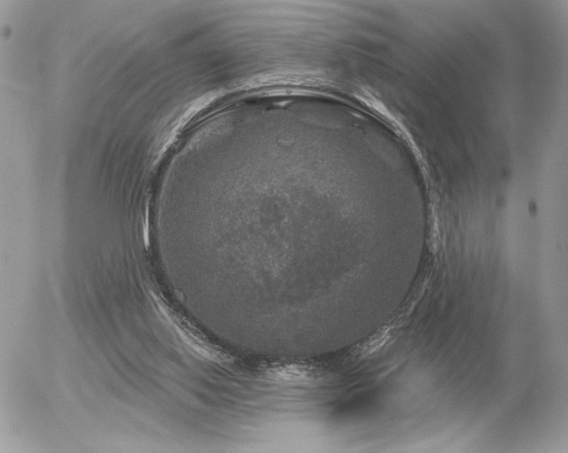 X0000056330062200508261231