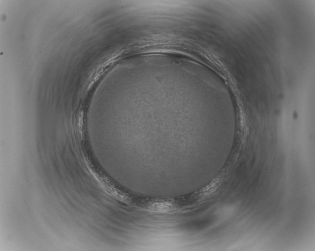 X0000056330066200508261231