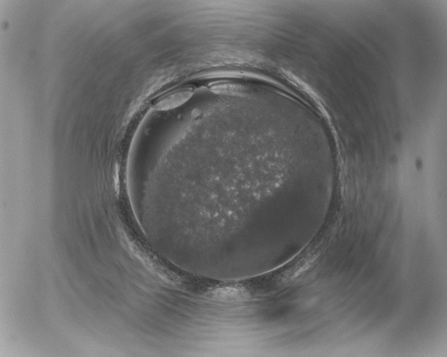 X0000056330067200508261231