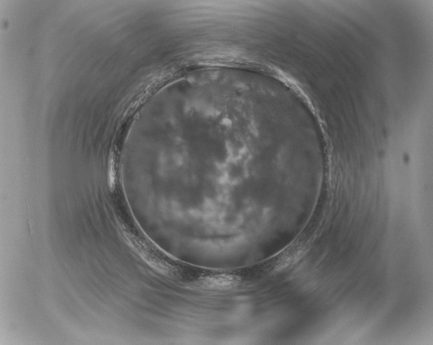 X0000056330069200508261231