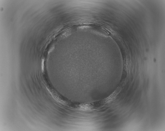 X0000056330070200508261231