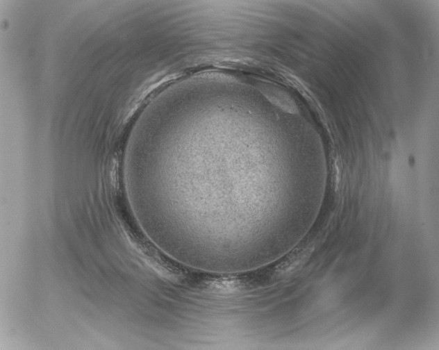 X0000056330071200508261231