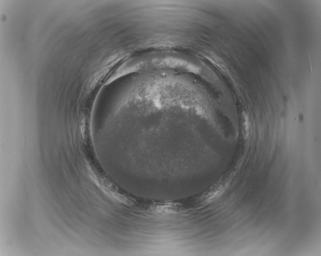 X0000056330072200508261231