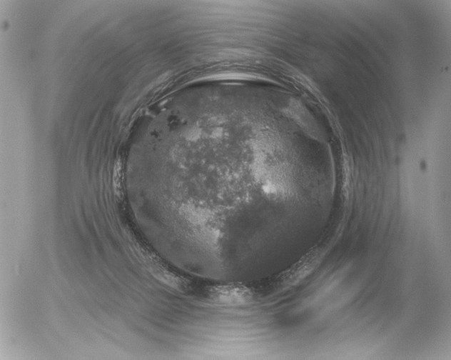 X0000056330073200508261231