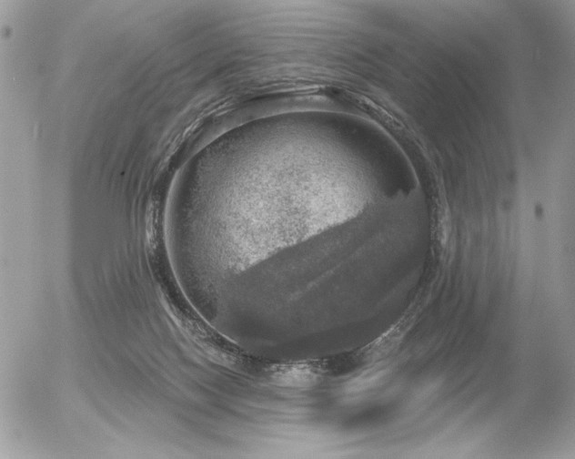 X0000056330074200508261231