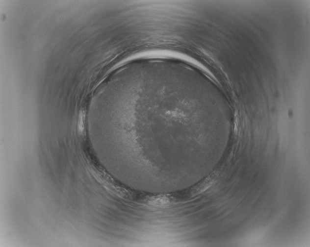 X0000056330075200508261231