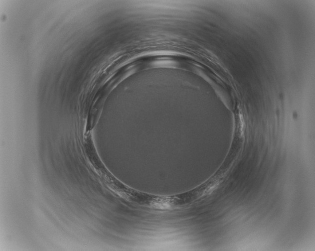 X0000056330076200508261231