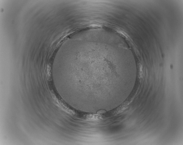 X0000056330077200508261231