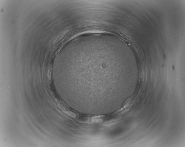 X0000056330078200508261231