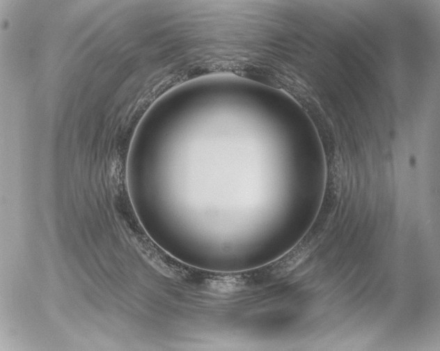 X0000056330079200508261231