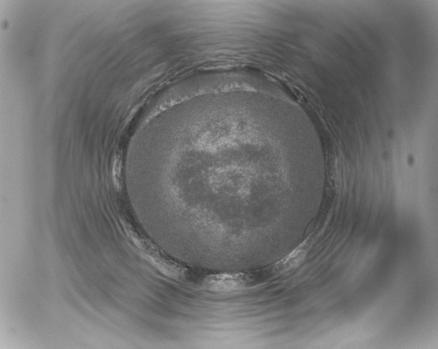 X0000056330082200508261231