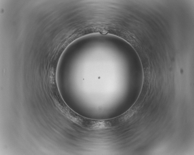 X0000056330083200508261231