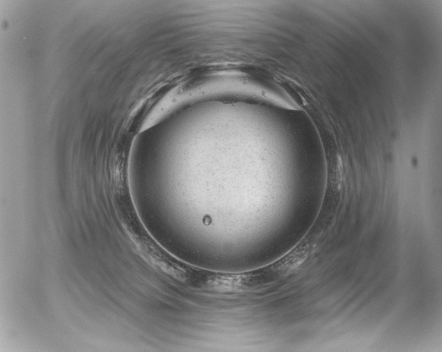 X0000056330084200508261231