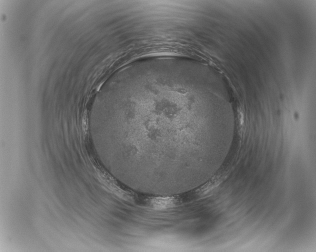 X0000056330085200508261231