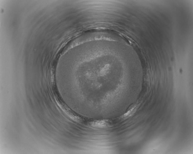 X0000056330086200508261231