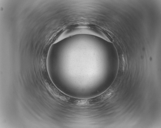 X0000056330088200508261231