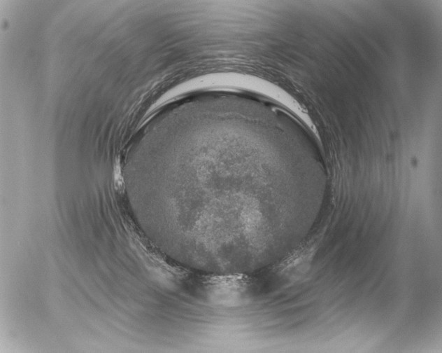 X0000056330089200508261231