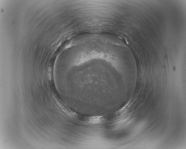 X0000056330090200508261231