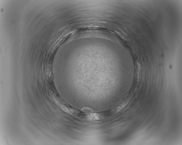 X0000056330091200508261231