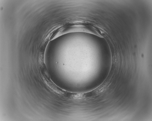 X0000056330092200508261231