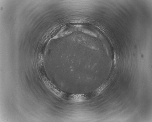 X0000056330093200508261231