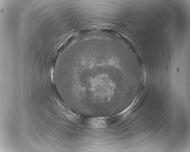 X0000056330094200508261231