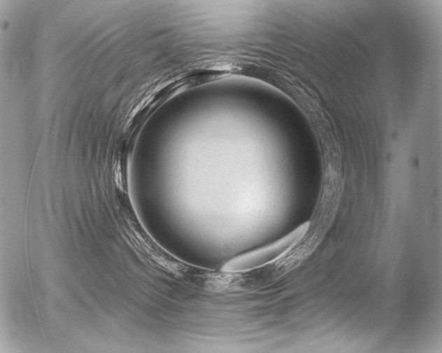 X0000056330096200508261232