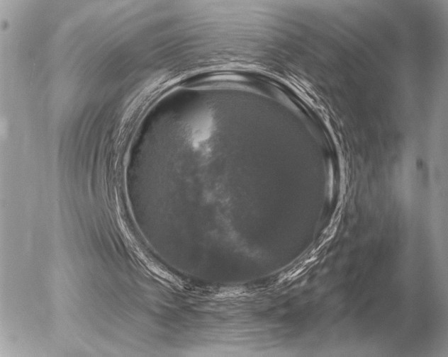 X0000056330097200508261231