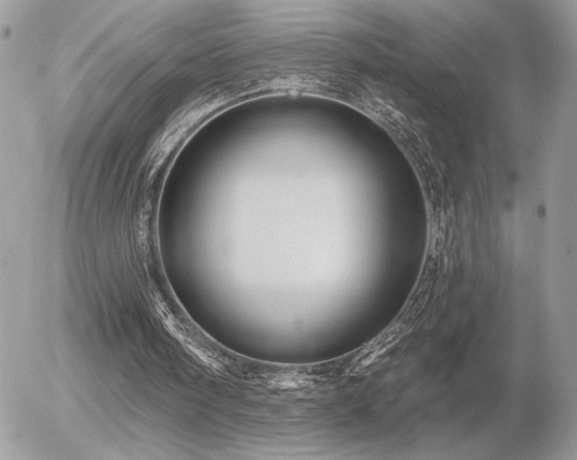 X0000056330098200508261231