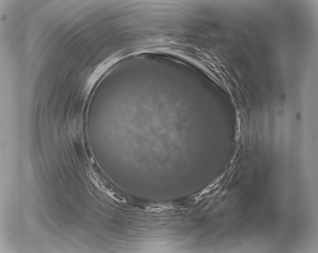 X0000056330099200508261231