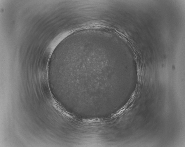 X0000056330100200508261231