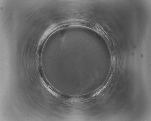 X0000056330101200508261231